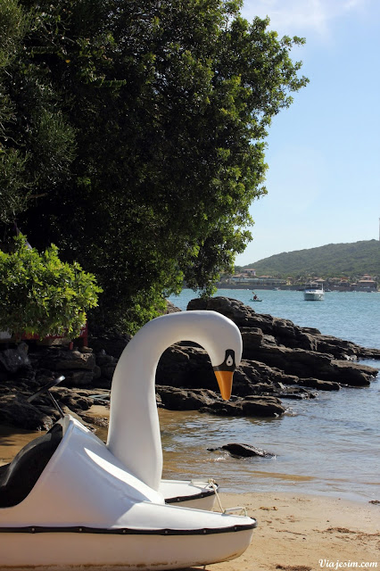 Búzios viagem com cachorro pet friendly praia ferradura