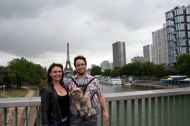 viagem com cachorro viagem pet friendly mudar com cachorro para europa
