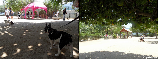 onde passear onde comer com cachorro no Rio restaurante praça pet friendly onde passear onde comer com cachorro no Rio restaurante praça pet friendly