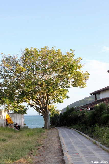 Búzios viagem com cachorro pet friendly praia ferradura
