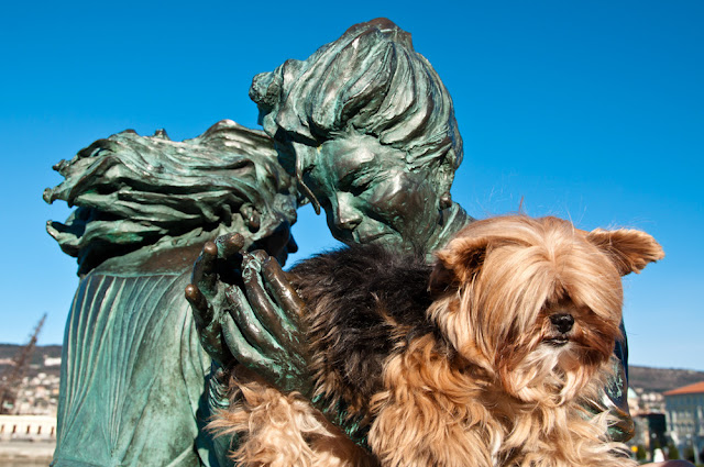 viagem com cachorro viagem pet friendly mudar com cachorro para europa