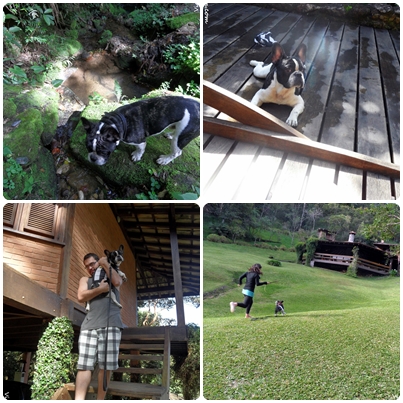 Hotel que aceita cachorro em Visconde de Mauá Pousada Tijupá Hotel que aceita cachorro em Visconde de Mauá Pousada Tijupá
