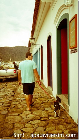 como escolher hotel com cachorro hotel pet friendly dicas viagem com cachorro viagem pet friendly