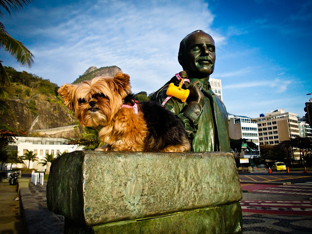 viagem com cachorro viagem pet friendly mudar com cachorro para europa
