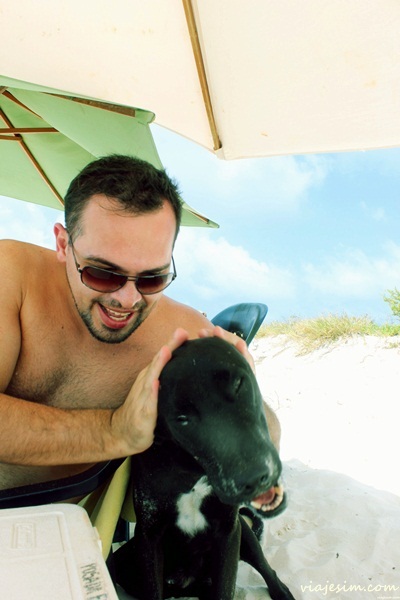Um roqueño canino:muitos cães felizes por lá. Deu vontade de levar MAquiavel e Foucault Los Roques Venezuela dicas pousada passeios vôos1709